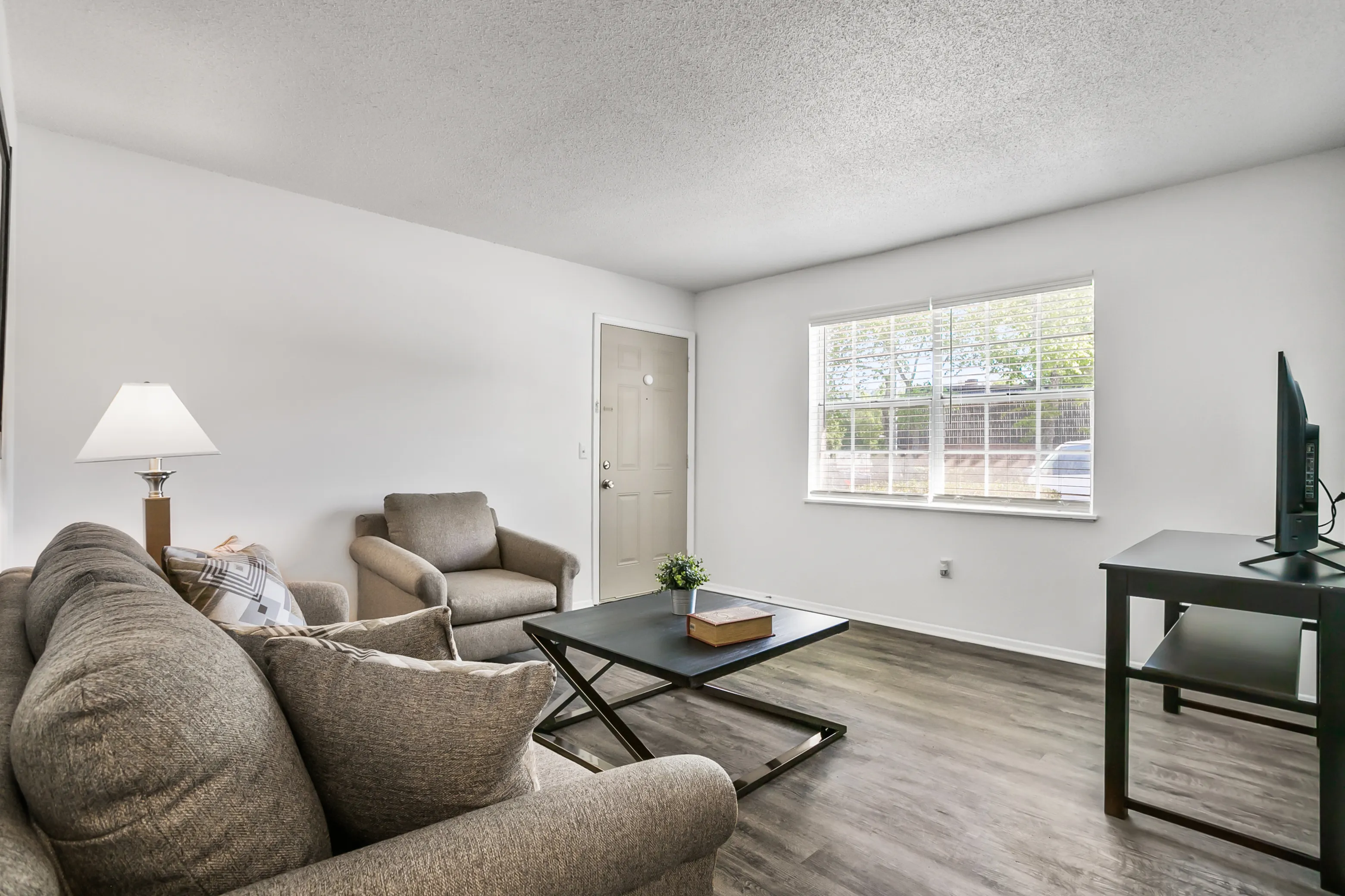 Living Area (1)
