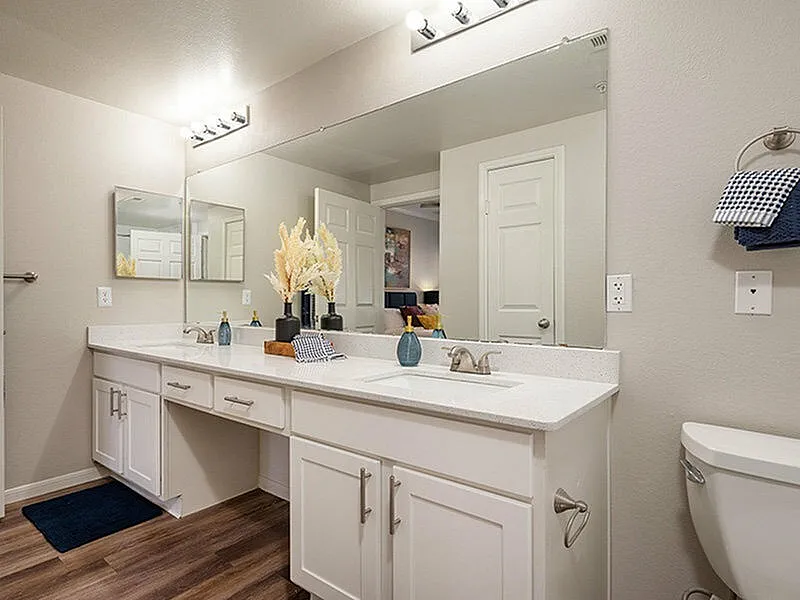 Elegant bathroom with dual sinks, large mirrors, chic decor, and wood-style flooring.