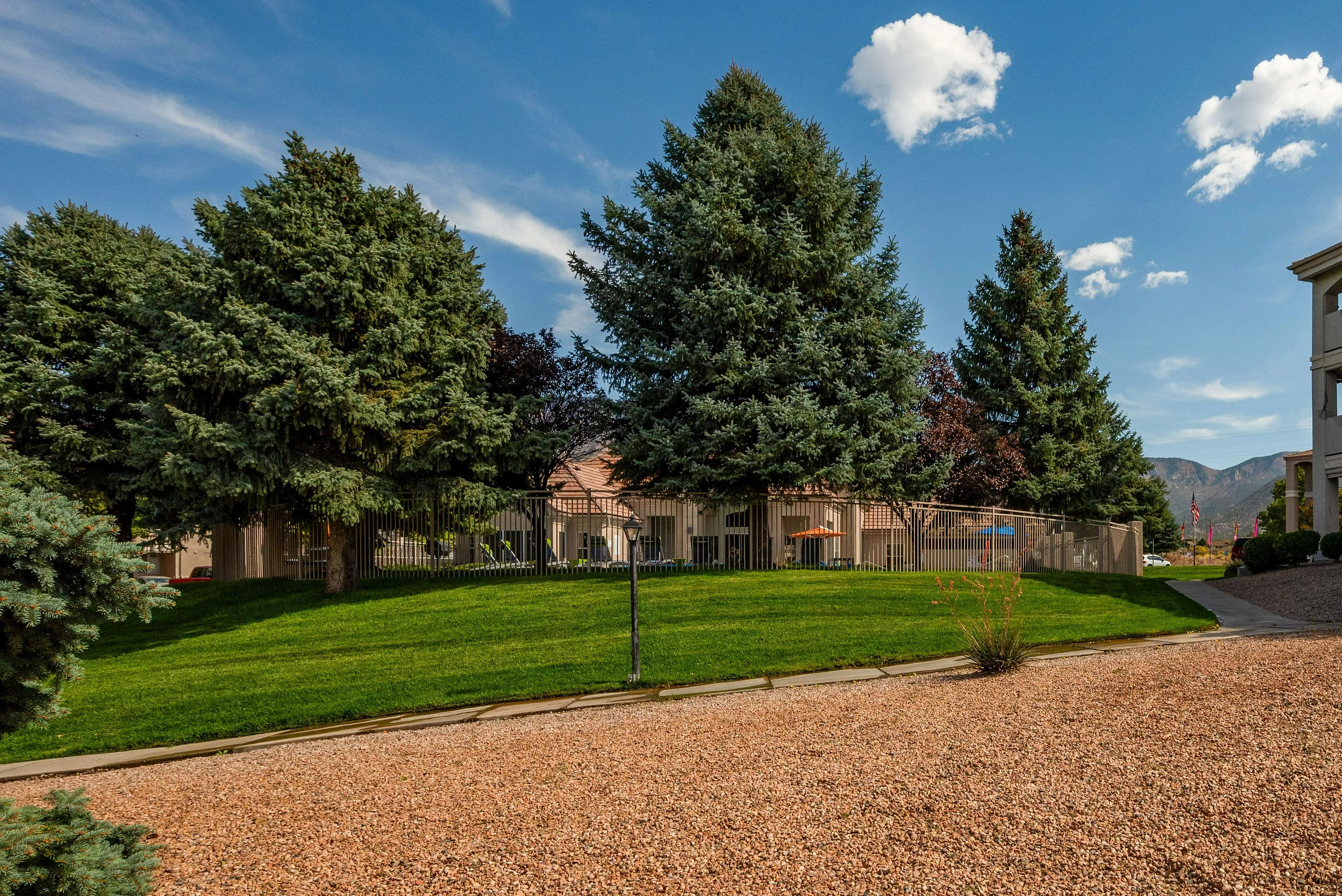 Breathtaking apartment view showcasing lush green lawns, majestic pine trees, and a serene pathway under a clear blue sky.