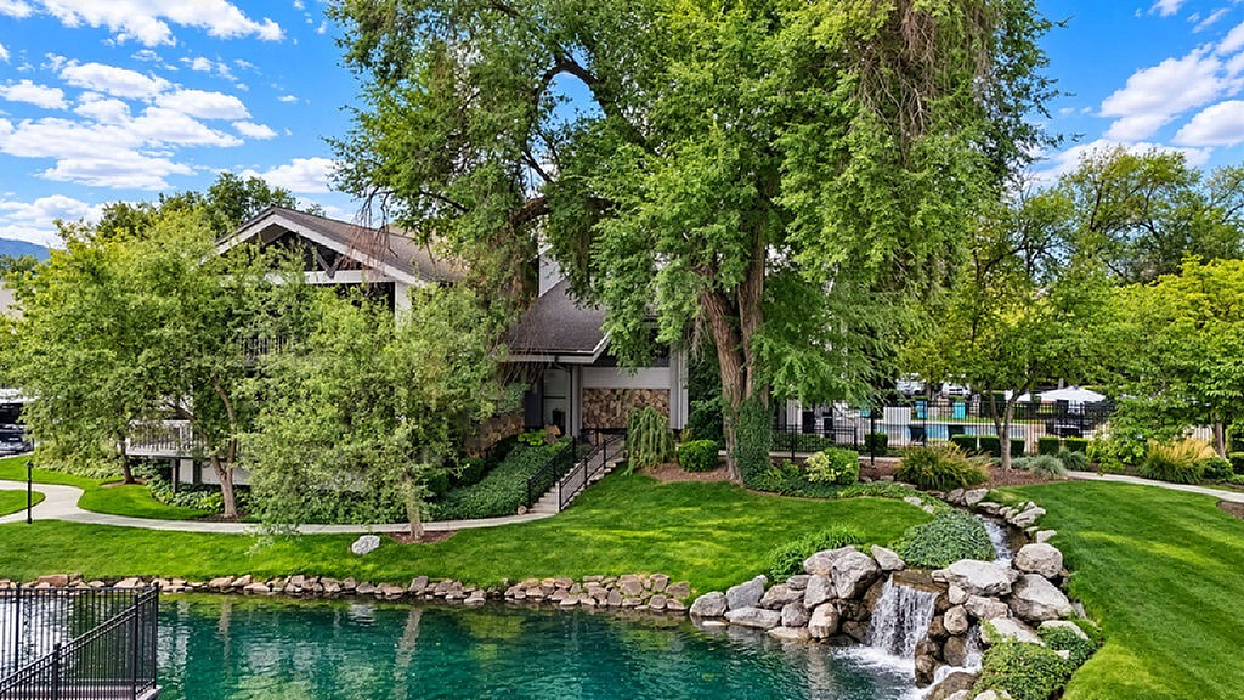 Springs of Country Woods - Scenic Landscape