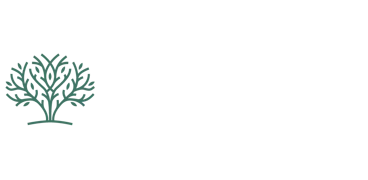 Hayden's Park at Upland Crossing