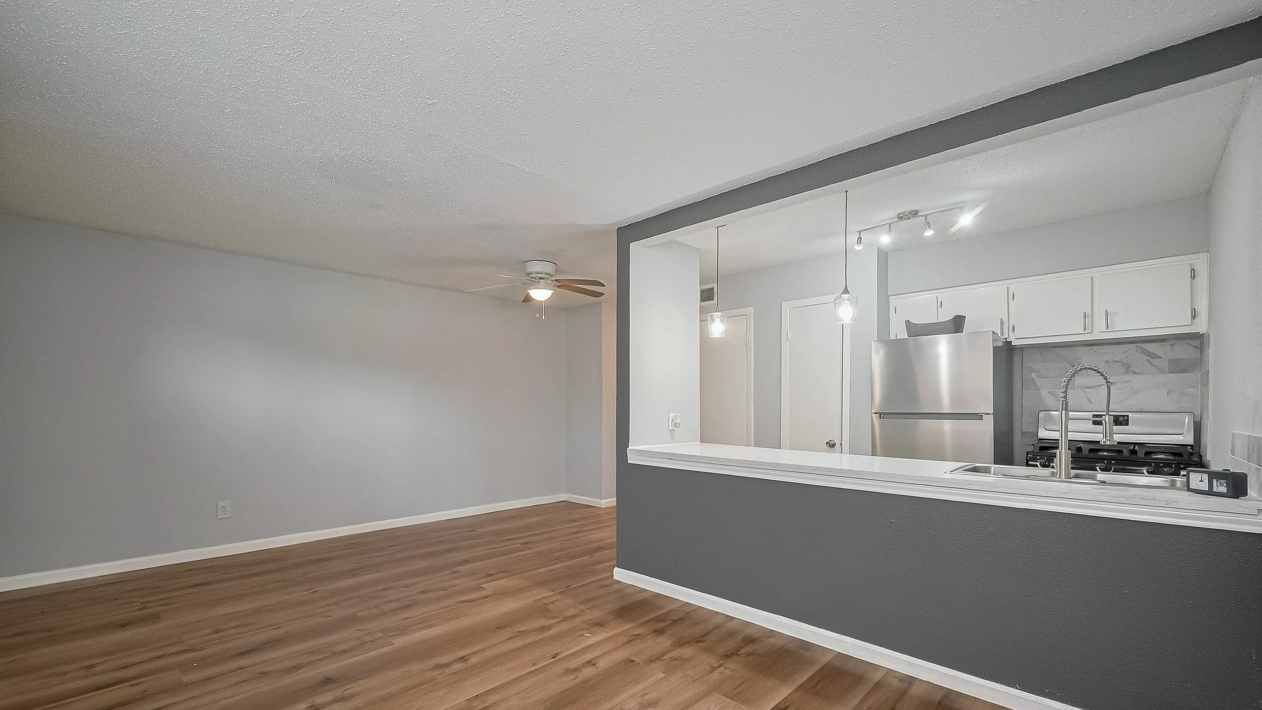 Kitchen and Living room