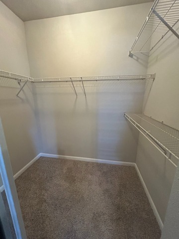 Closet One B2 Classic