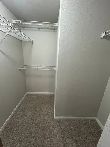 Closet A1 Partial