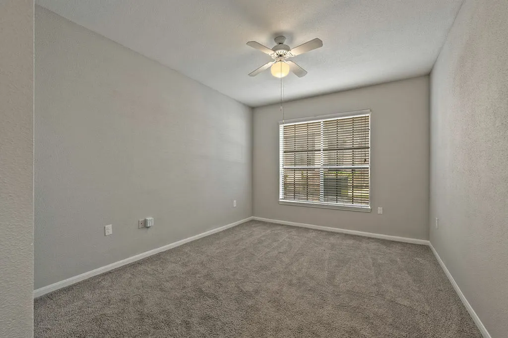 Bright, unfurnished bedroom featuring plush carpeting, a ceiling fan, and large window with natural light.