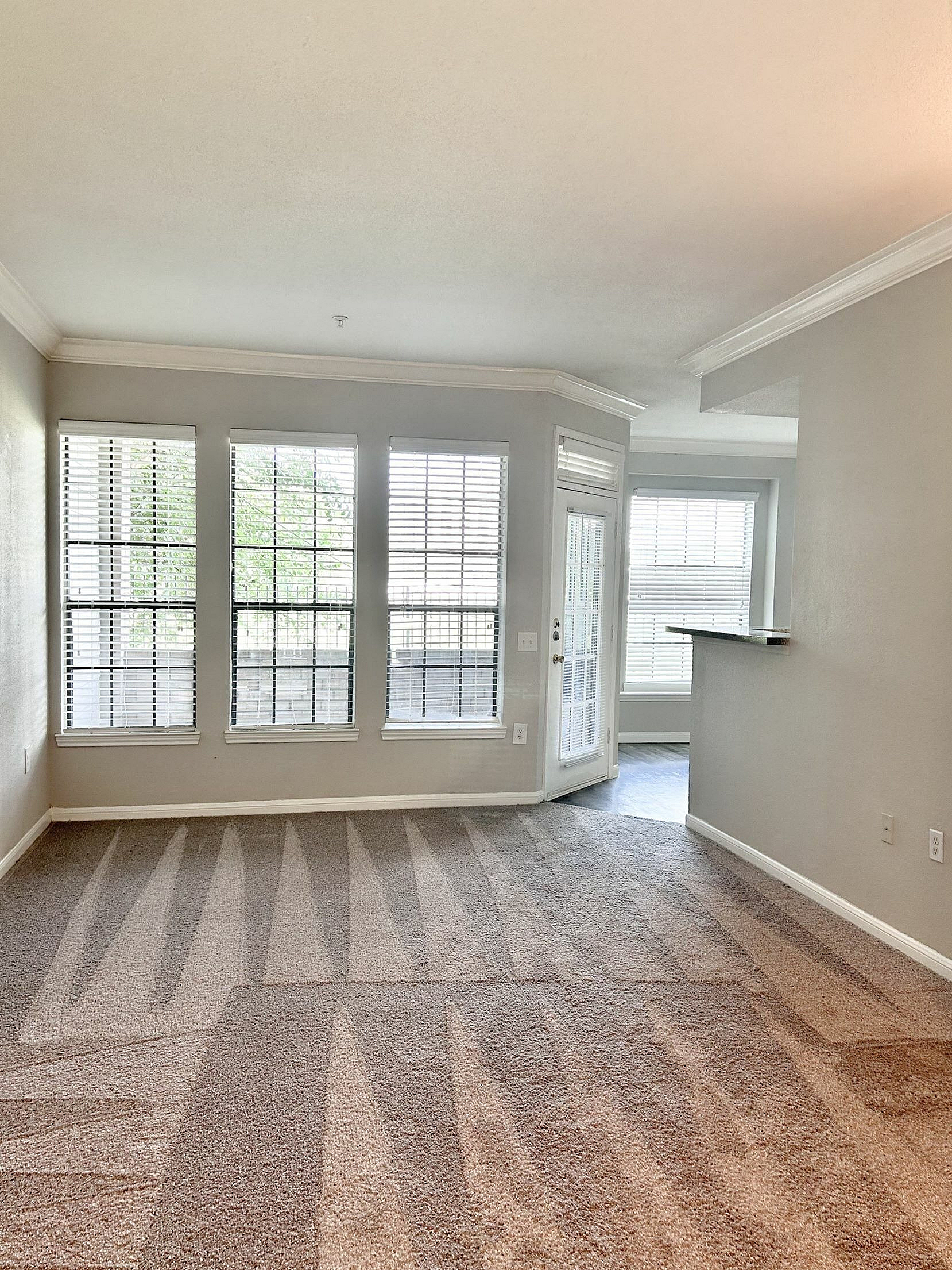 Bright and spacious living room with large windows, plush carpet, and fresh paint offers an inviting, modern style.