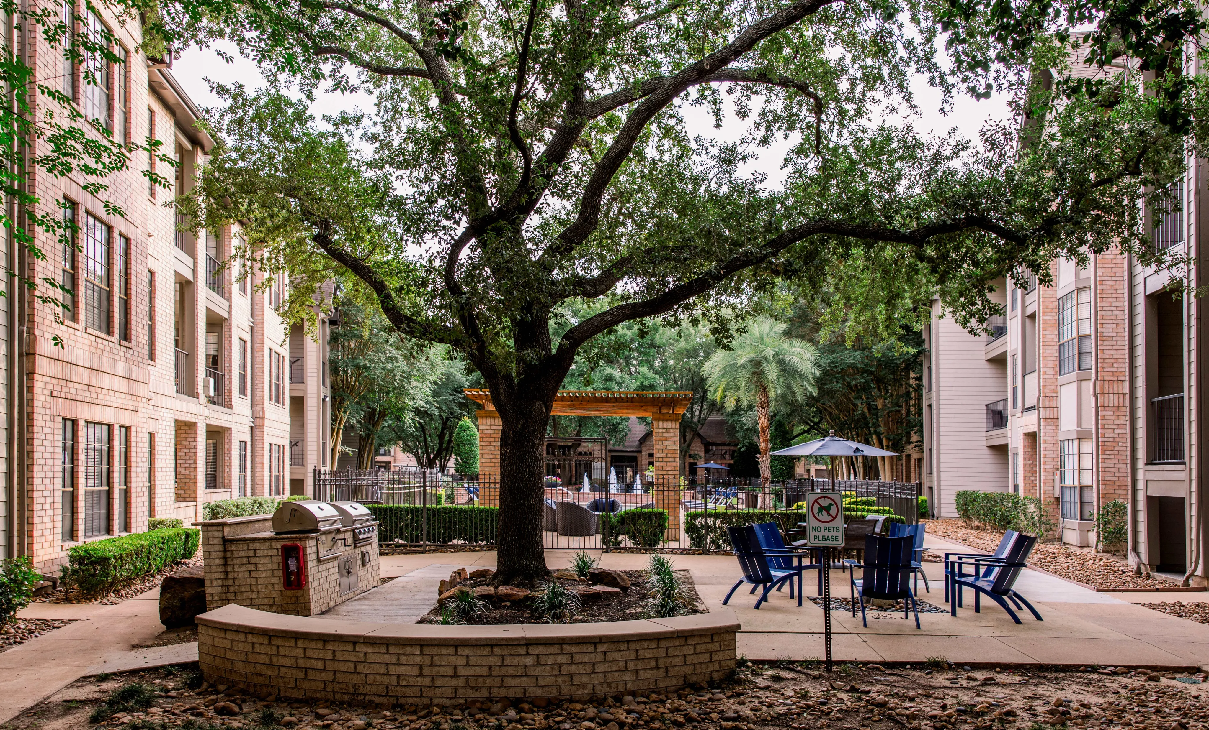 Charming courtyard view of a modern apartment complex featuring lush greenery, spacious seating area, and built-in BBQ grills under a majestic tree.