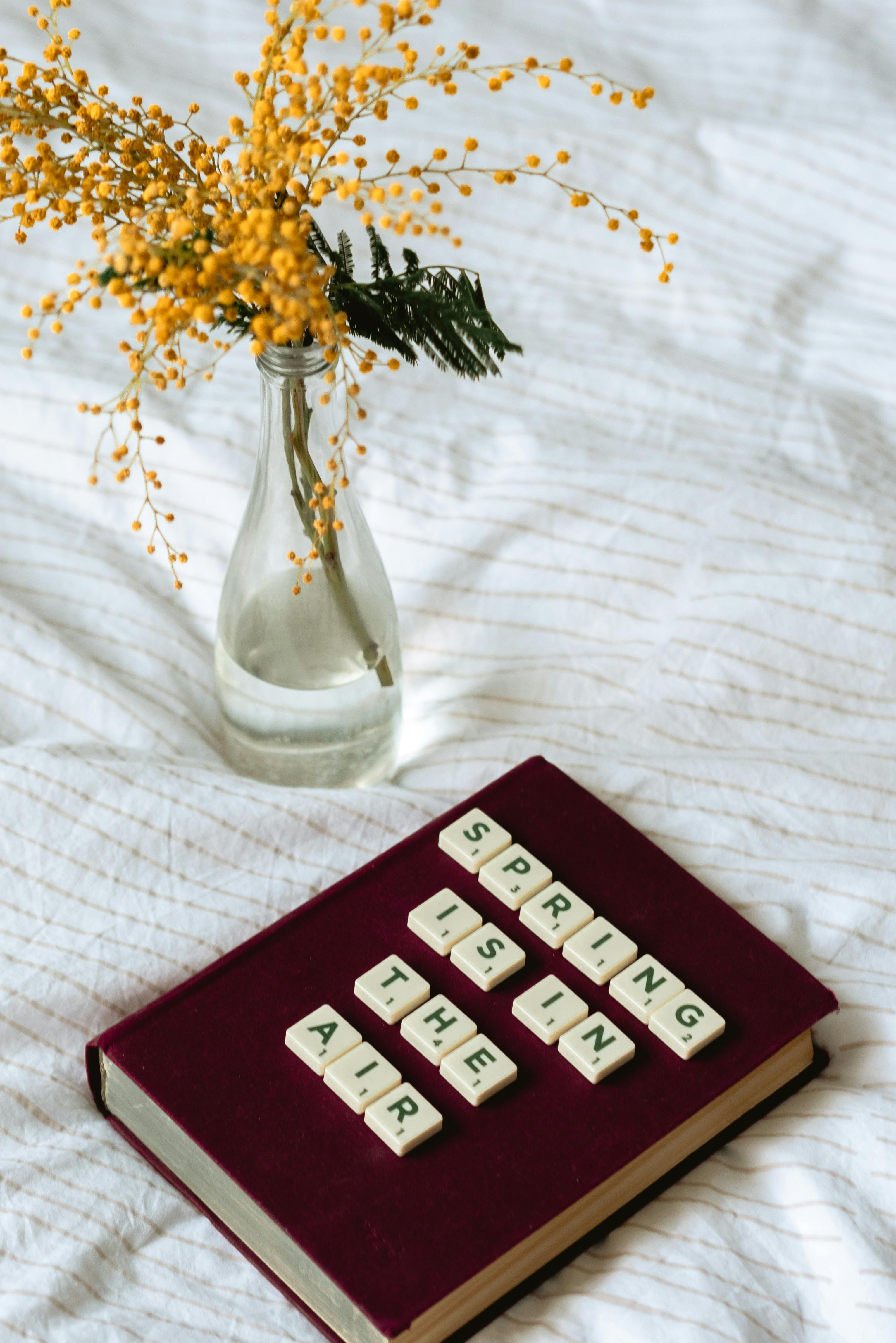 Spring Feng Shui Tips for Renters at Edge 1909 in Pittsburgh-image