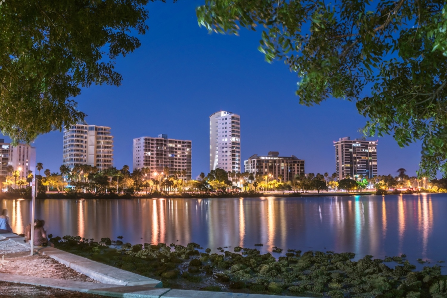 A stunning night view of the Downtown Sarasota skyline, illuminated by lights against a dark sky, showcasing urban architecture.