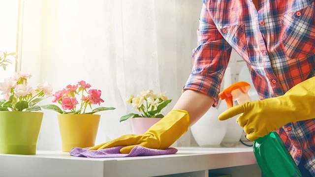 A woman wearing yellow rubber gloves wipes a windowsill filled with vibrant flowers, ensuring a clean and tidy appearance.