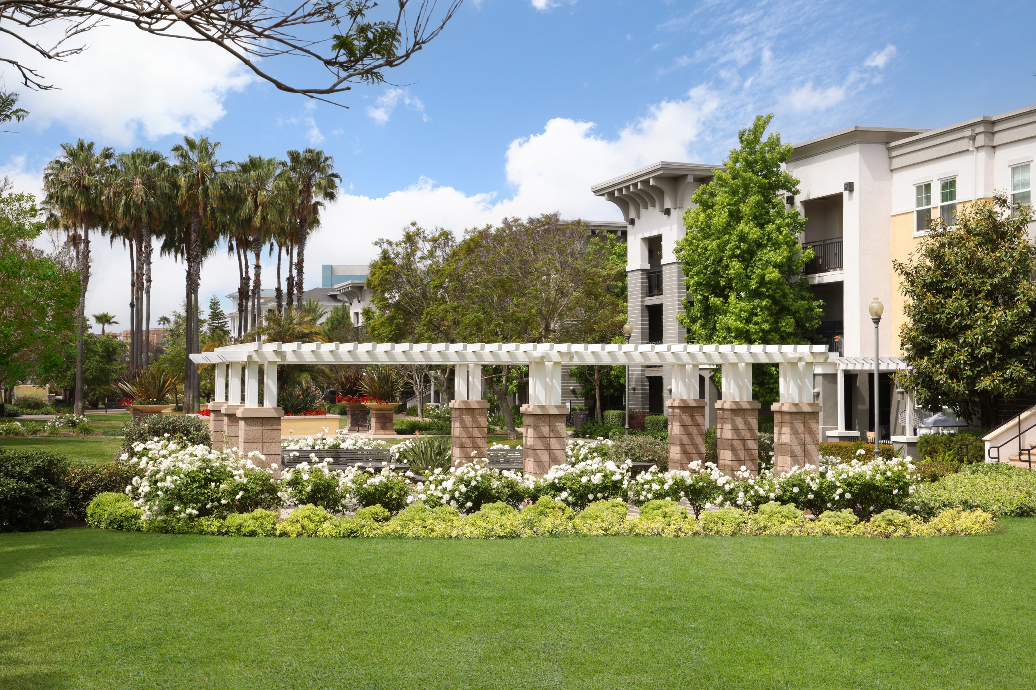 courtyard with grass and flowers