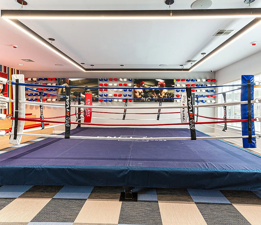 Modern boxing ring in brightly lit recreational room with colorful wall decor