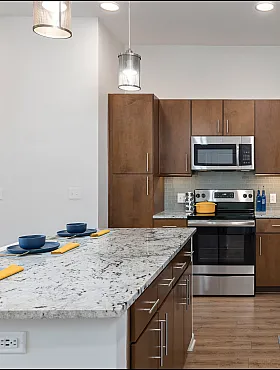 Contemporary kitchen with sleek appliances, granite countertops, and wooden cabinetry.