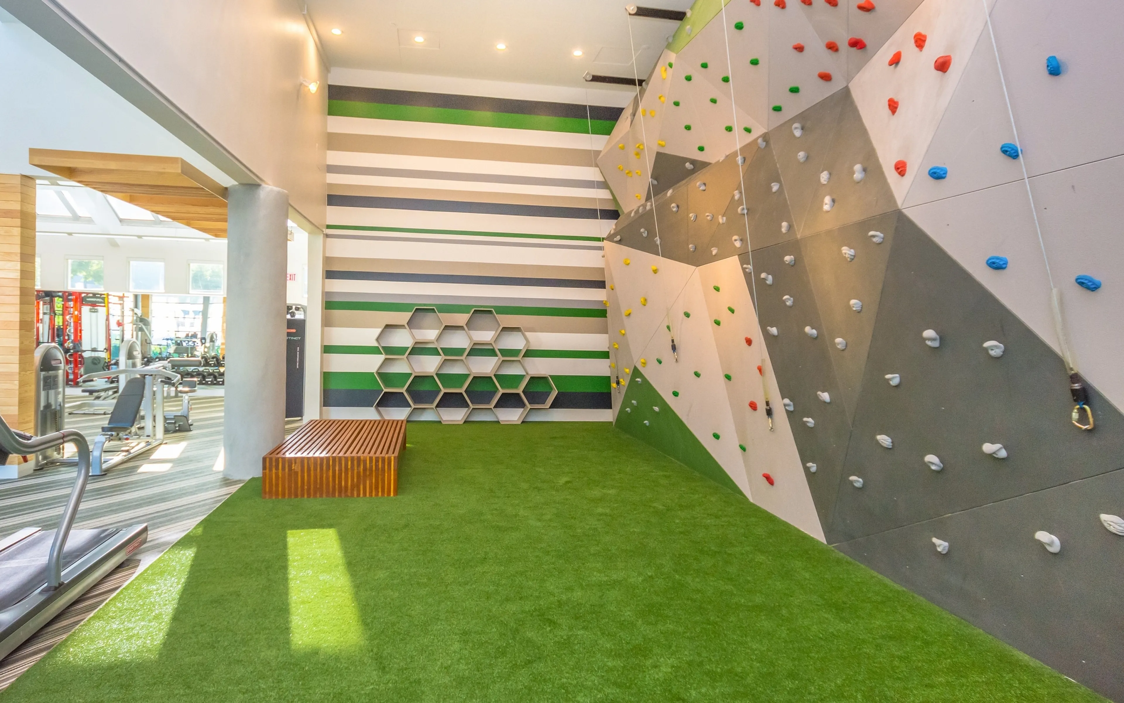 rock climbing wall