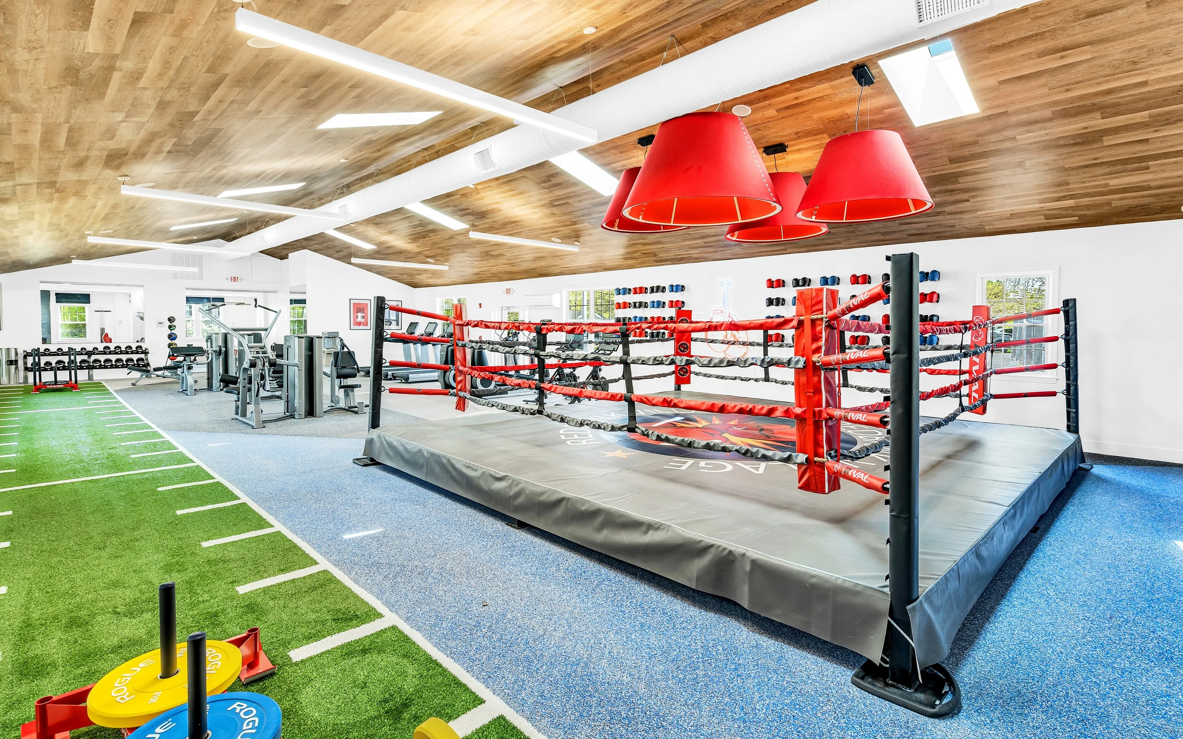 boxing ring