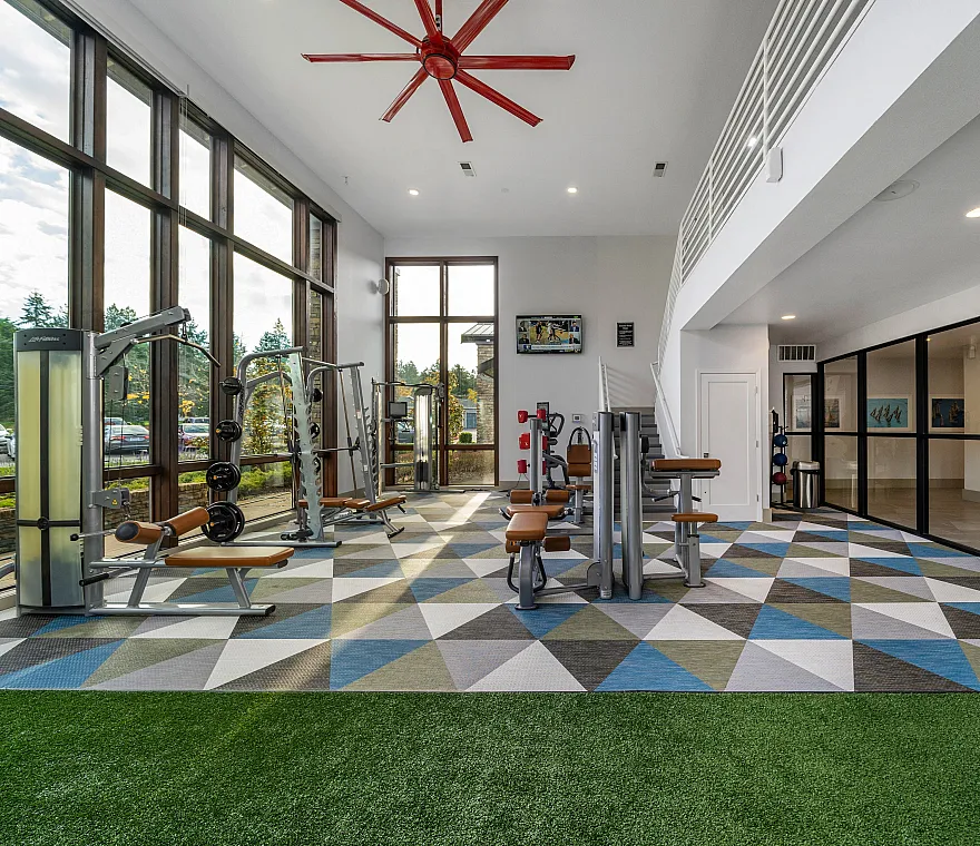 gym