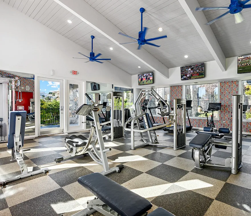 gym