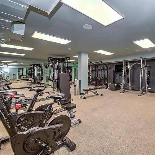 gym