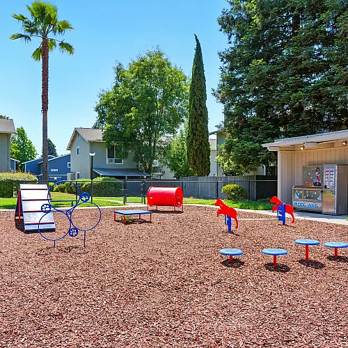 pet park