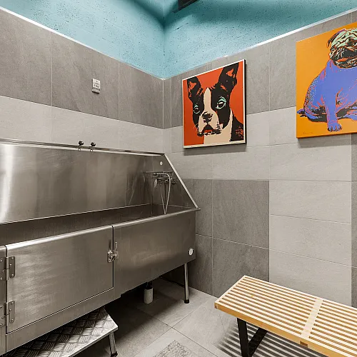 Modern pet wash station in a sleek tiled room with vibrant dog artwork, featuring a stainless steel tub and wooden bench.