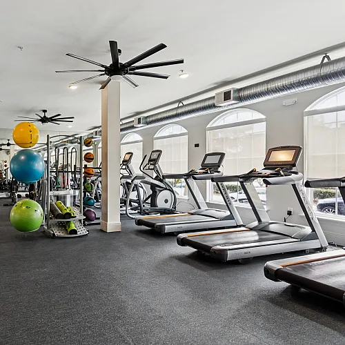 Modern fitness center featuring state-of-the-art equipment, vibrant exercise balls, and expansive windows with ample natural light.