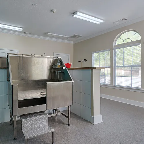 Modern pet washing room with sleek stainless steel washing station and bright windows, creating an inviting atmosphere.