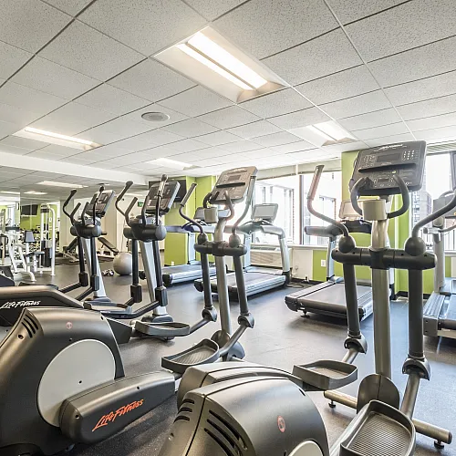Bright and modern fitness center featuring an array of top-quality exercise equipment, including treadmills and ellipticals, with ample natural light from large windows.