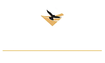 Elegant logo for Residences at Falcon North Luxury Apartments showcasing a soaring falcon above the refined text, symbolizing premium living.