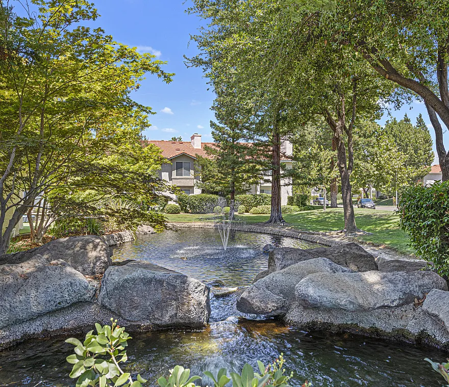 Serene garden setting with a picturesque pond, surrounded by lush trees and rocks, creating a tranquil oasis.