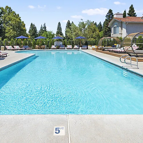 Inviting outdoor pool area with stylish sun loungers and chic umbrellas, surrounded by lush greenery, perfect for relaxation.