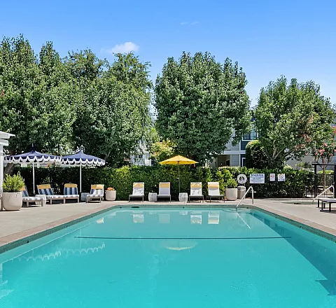 Inviting outdoor pool area with elegant lounge chairs, lush greenery, and stylish umbrellas under a clear blue sky.