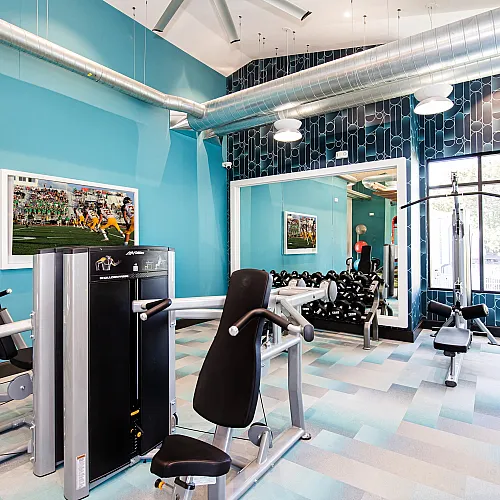 Contemporary fitness center with state-of-the-art equipment, vibrant blue walls, and natural light creating an inviting workout space.
