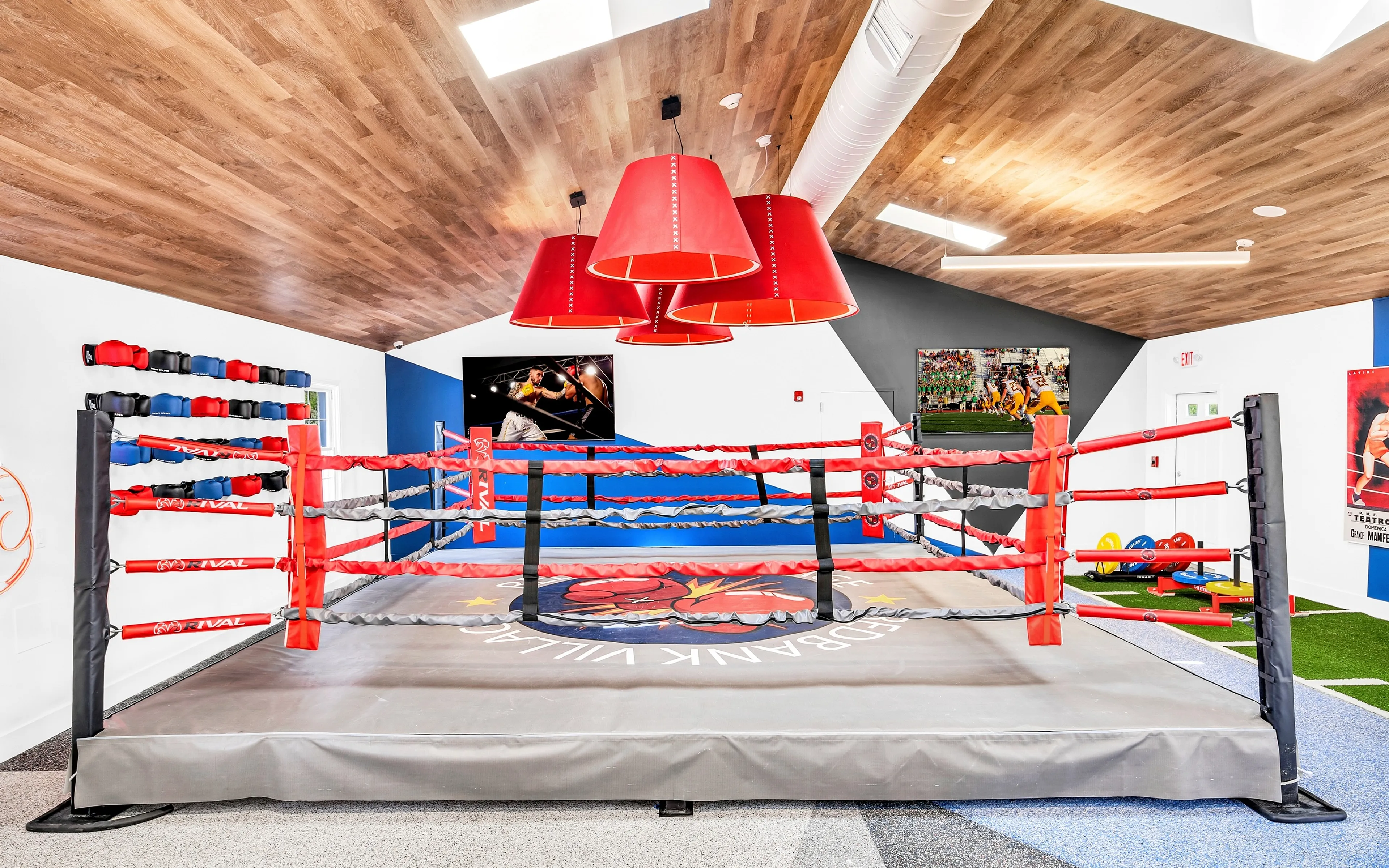 Vibrant recreational room with a professional boxing ring, modern decor, and ample natural light for an energetic atmosphere.