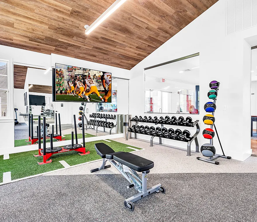 Modern fitness center featuring sleek gym equipment, colorful exercise balls, and a large TV, perfect for a dynamic workout experience.