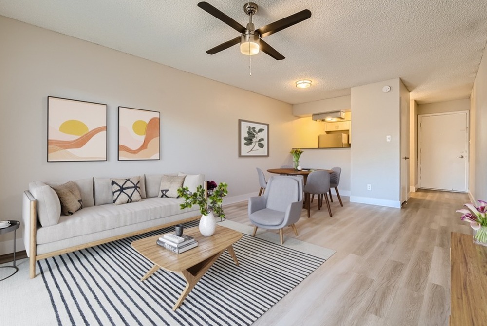 Pet friendly apartments