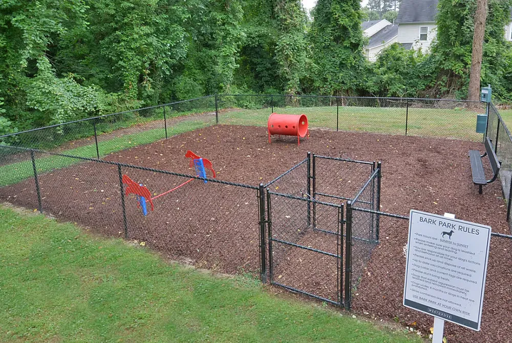 Dog Park