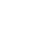 Rise Bluestone Logo