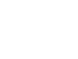Rise Silver Lake Logo