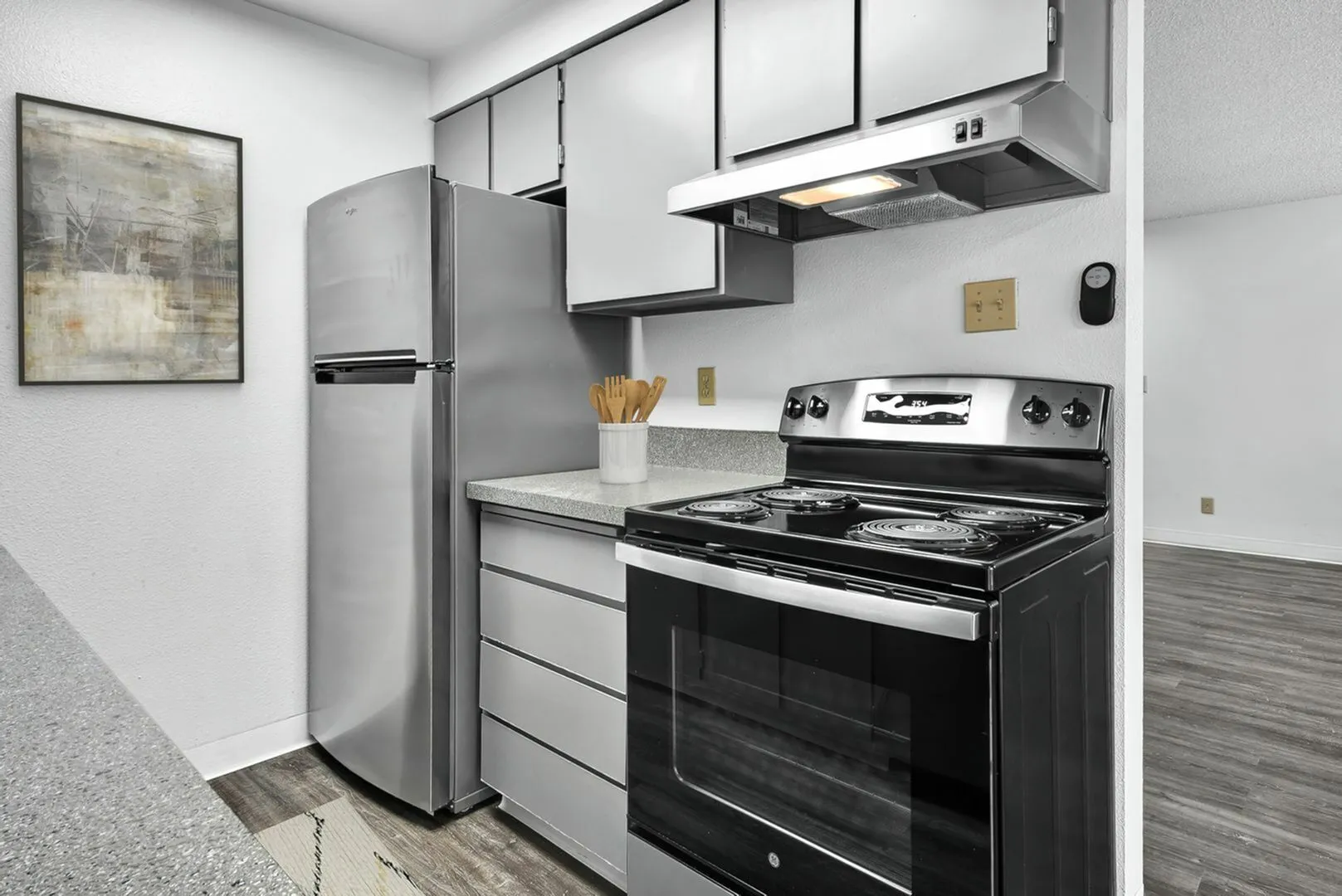 Stainless Steel Appliances