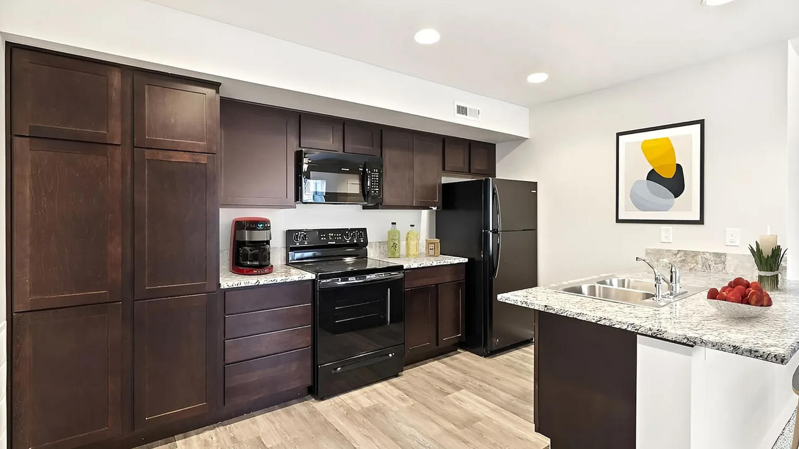 vivienne townhomes kitchen