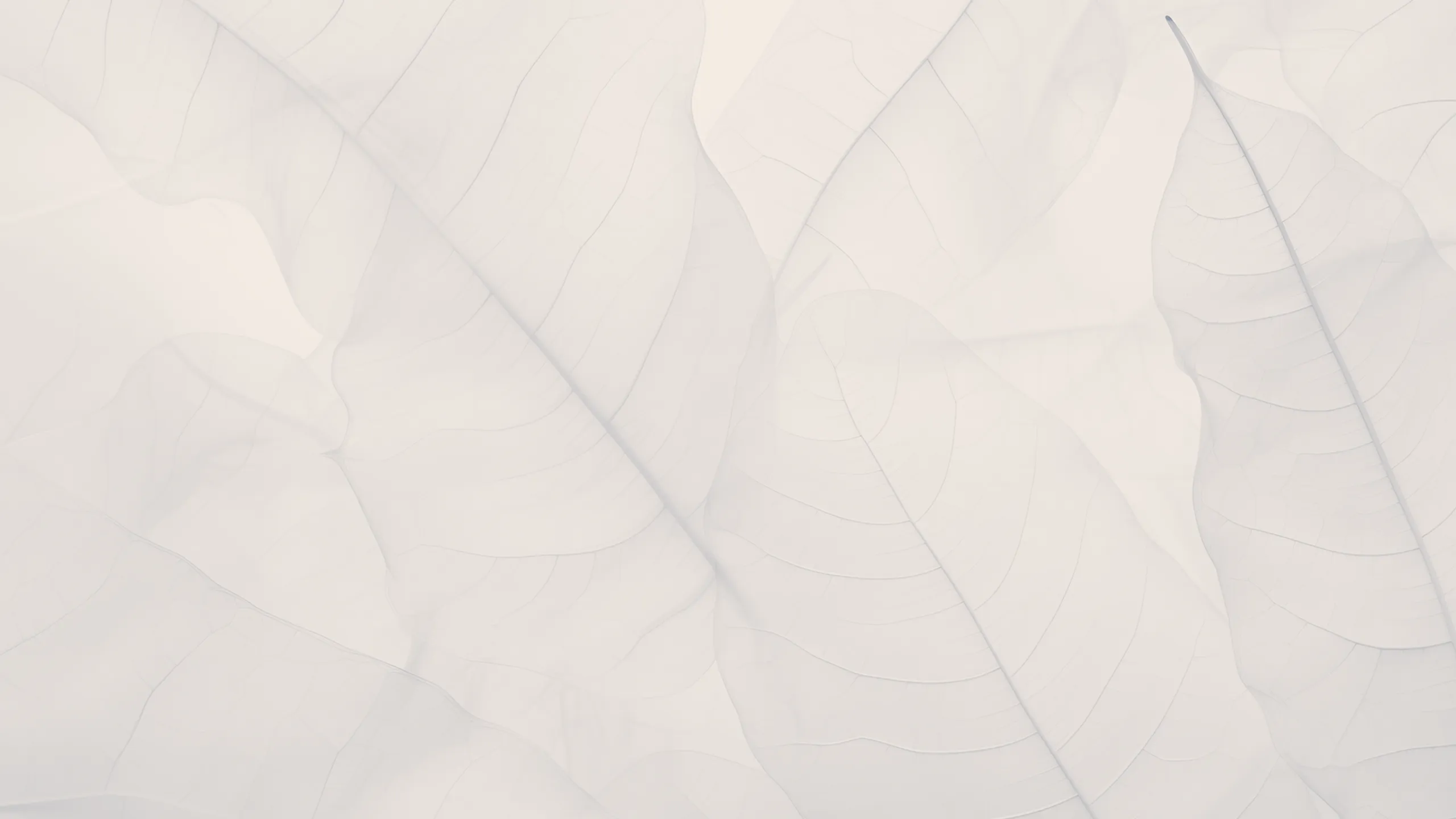 feather background