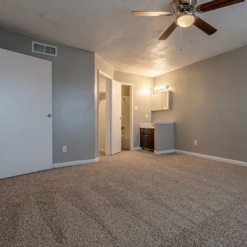 Ashford Santa Cruz Interior