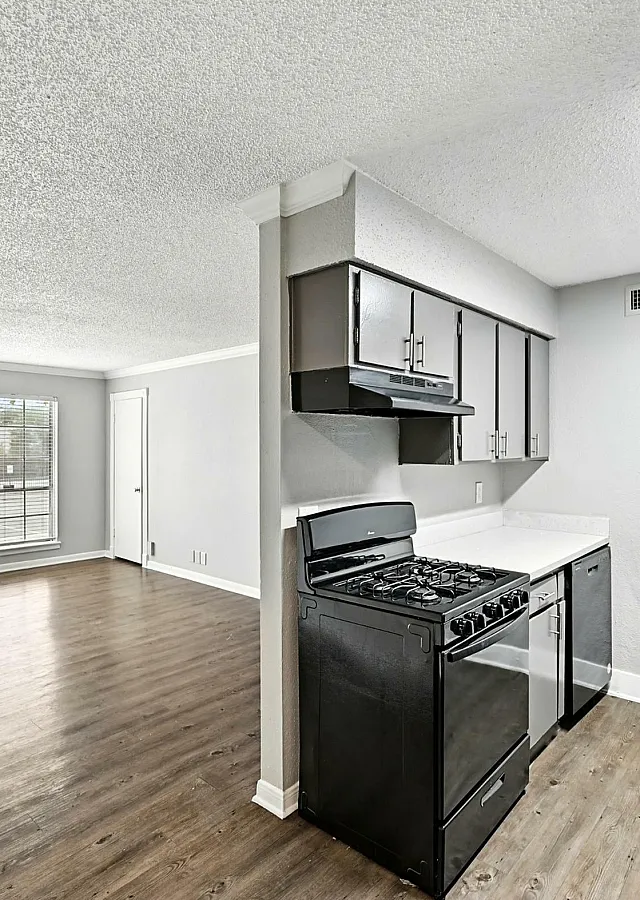 Bright and inviting open-concept kitchen and living area with sleek gray cabinetry, modern appliances, and large windows offering abundant natural light.
