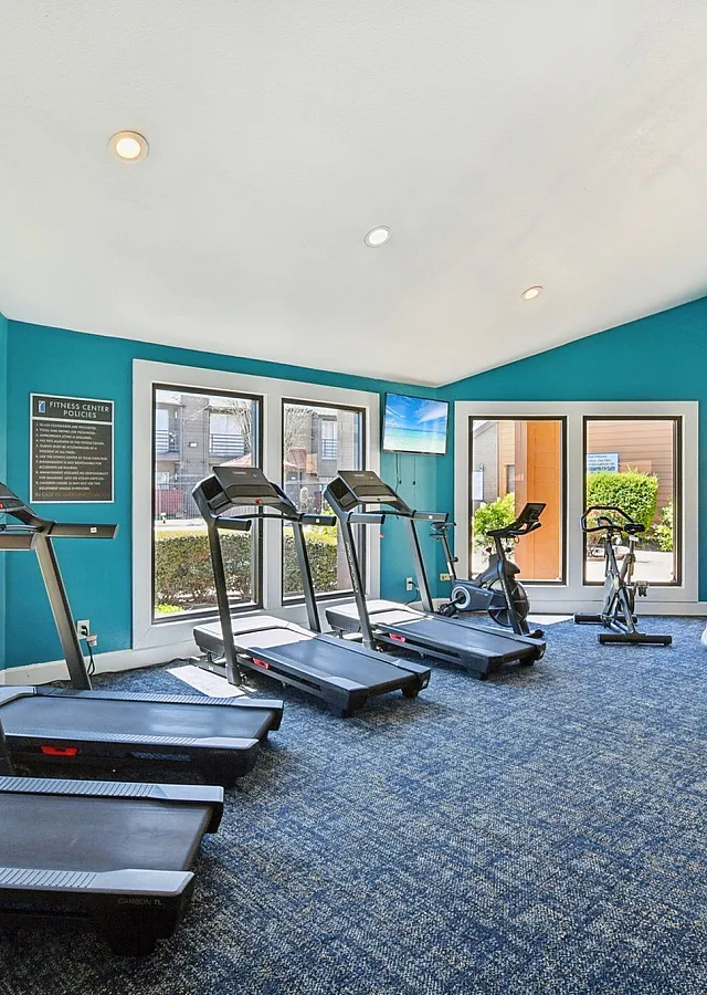 Modern fitness center with abundant natural light, featuring treadmills, exercise bikes, and a vibrant turquoise interior.