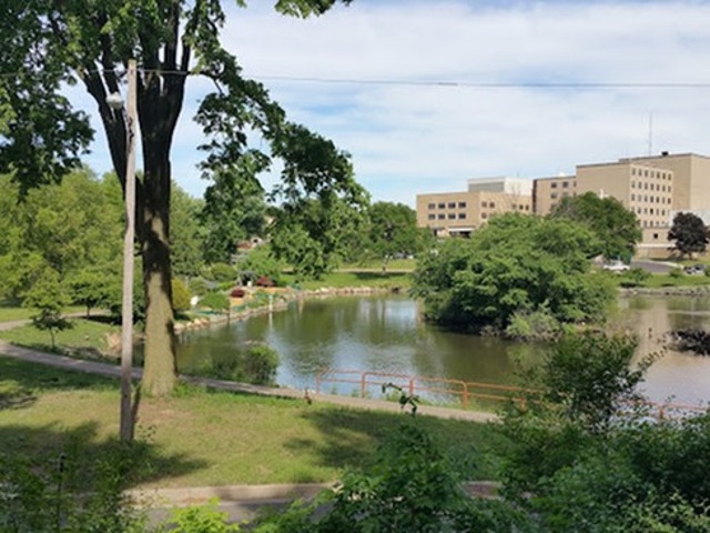 irving park