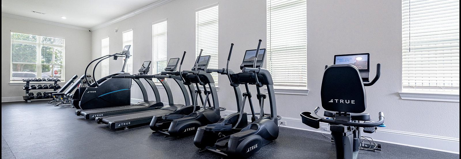 State-of-the-art fitness center with treadmills, elliptical machines, and weight equipment in a bright, spacious room.