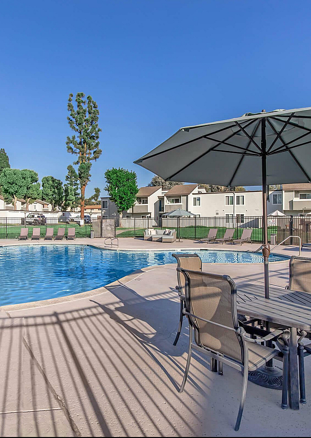 Plum Tree Pool