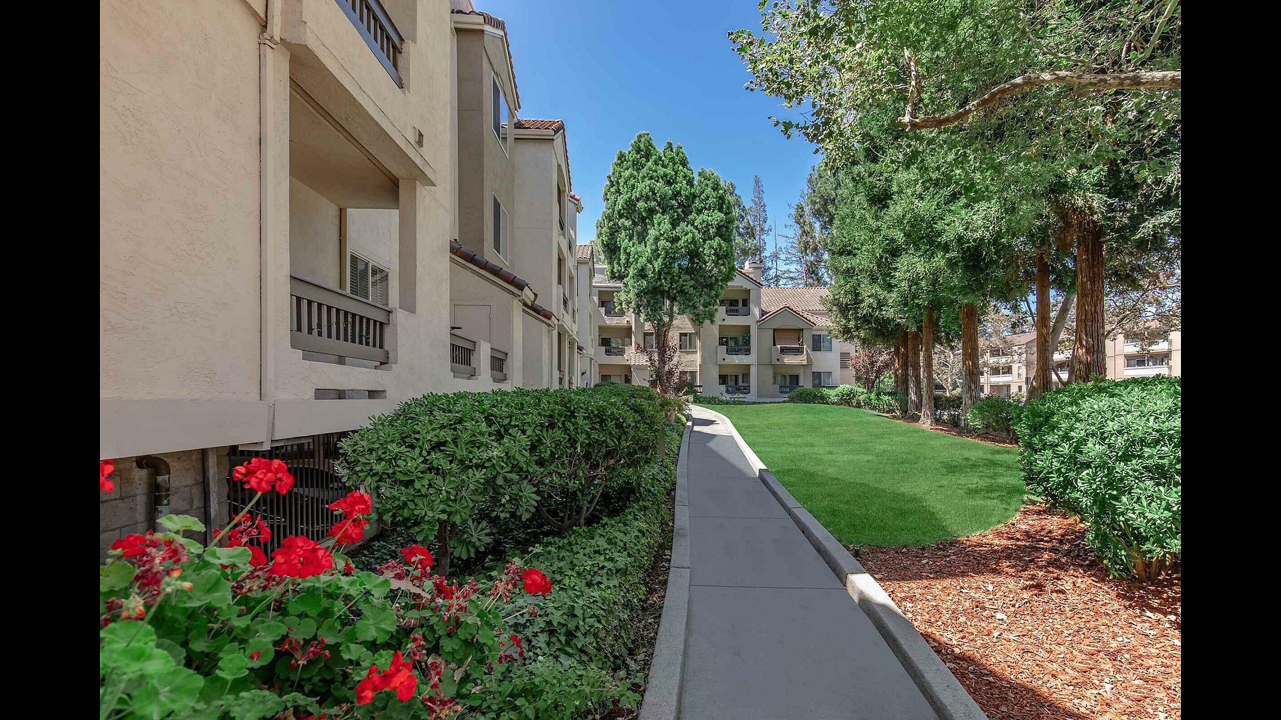 Paloma Vista Apartment Homes Walkway with Lush Landscaping