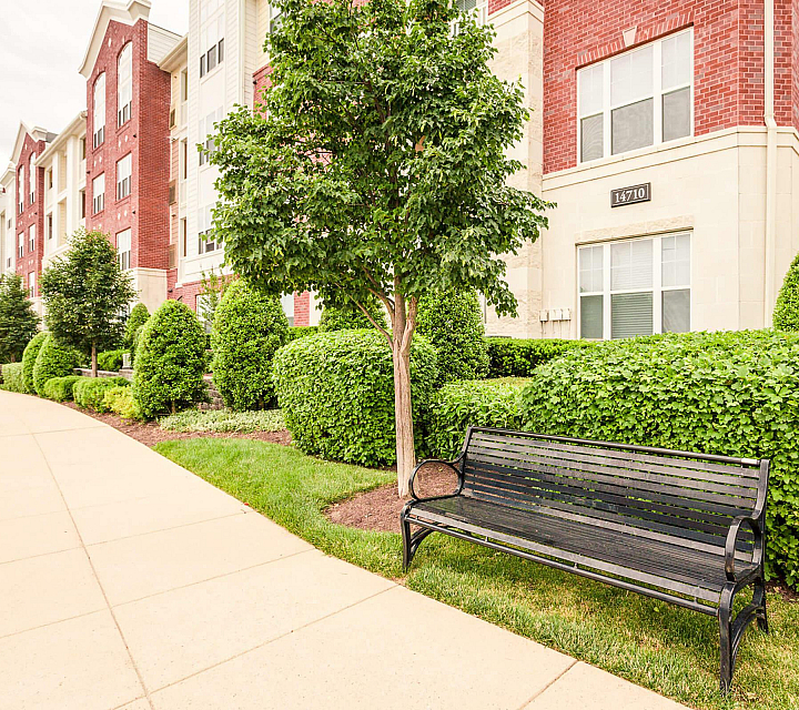 Emerson at Cherry Lane Walking Path and Bench Seating