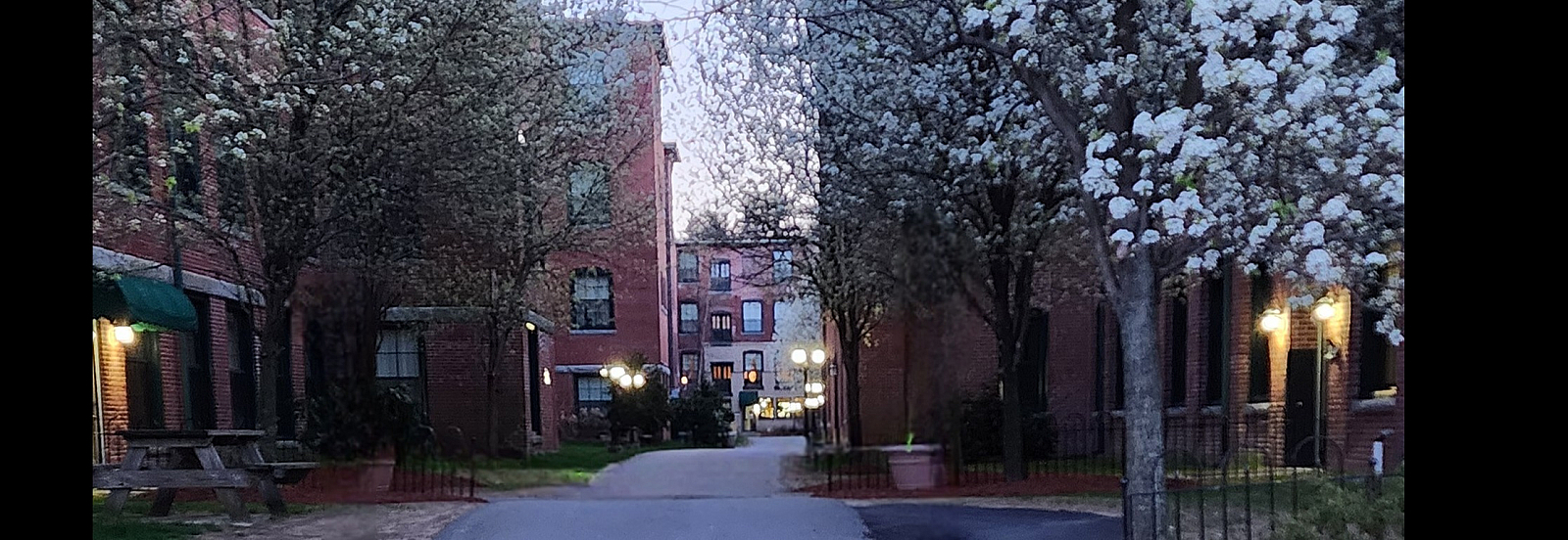 Charming pathway flanked by blossoming trees leading to elegant brick apartments, creating a serene and welcoming residential atmosphere.